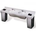 OmniDeck Two Station Lavatory with Integral Bowls